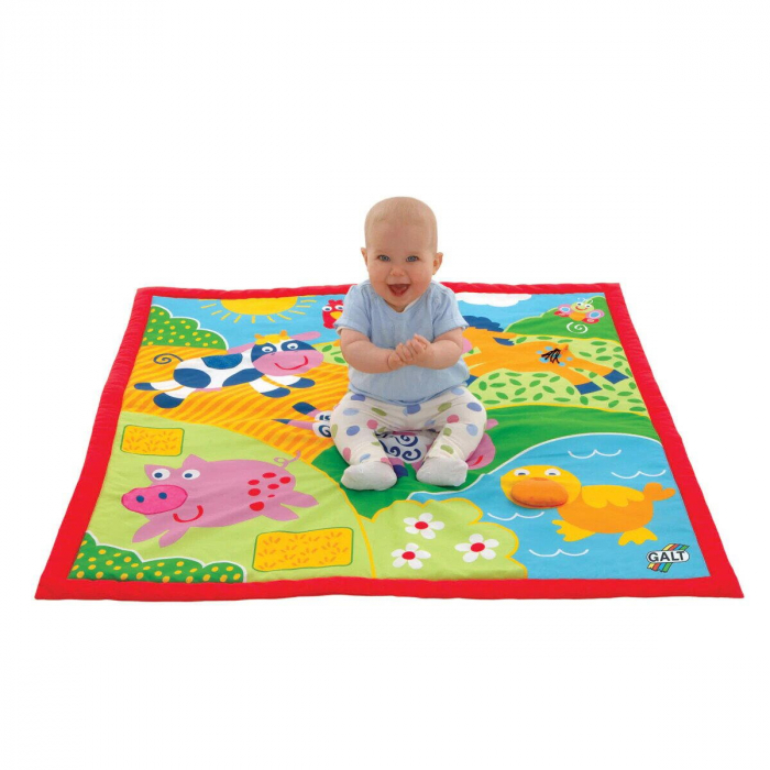 Salteluta activitati bebelusi Ferma, Galt, 0-1 ani + [2]