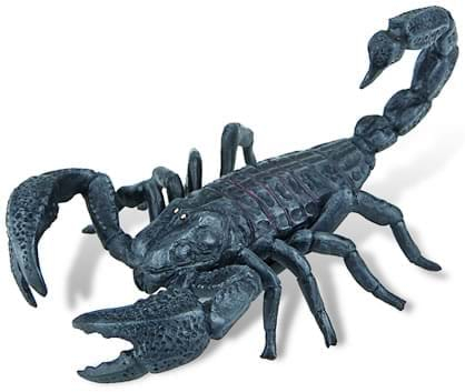 Scorpion, Bullyland, 2-3 ani + [2]