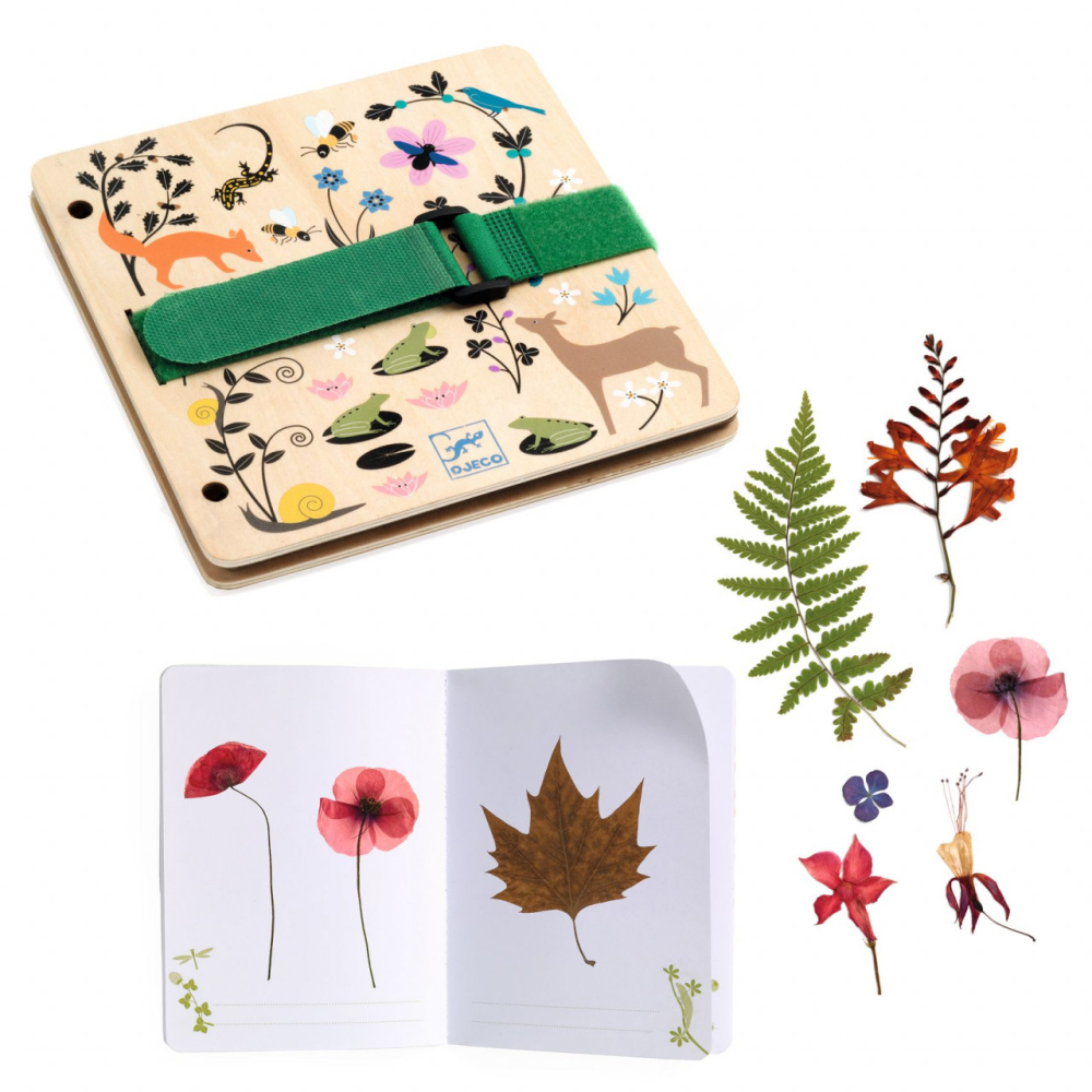 Set DIY, Botanist in devenire, Djeco, 5 ani+ [3]