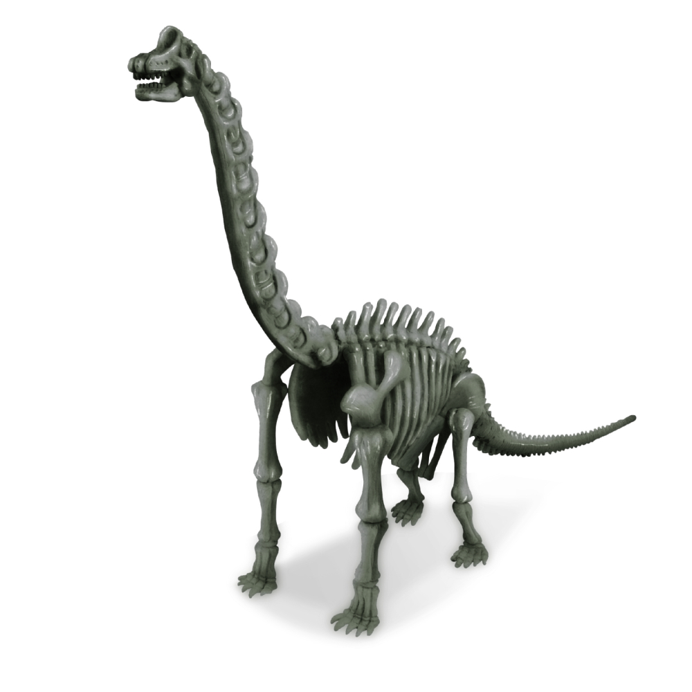 Set educativ Sapa si descopera Dinozauri - Brachiosaurus [2]