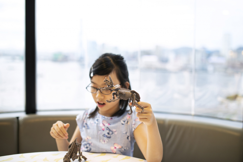 Set educativ Sapa si descopera Dinozauri - Mamut [9]