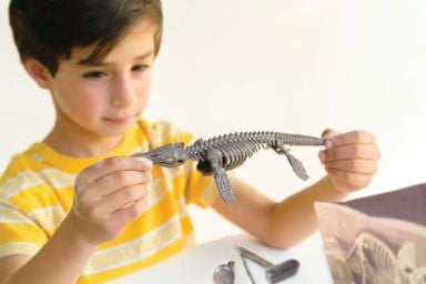 Set educativ Sapa si descopera Dinozauri - Mosasaurus [3]