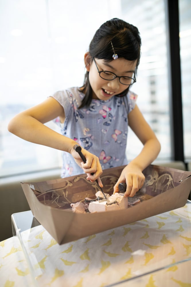 Set educativ Sapa si descopera Dinozauri - T-Rex [6]