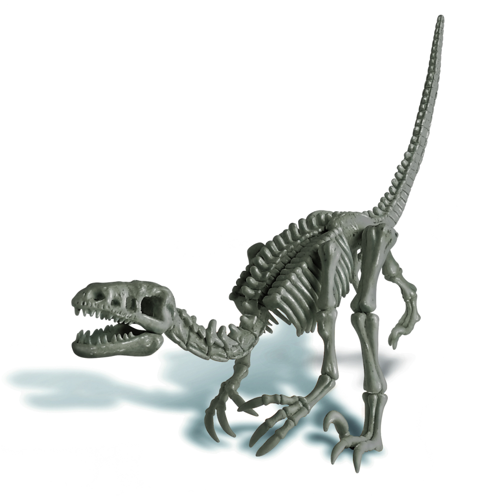 Set educativ Sapa si descopera Dinozauri - Velociraptor [9]