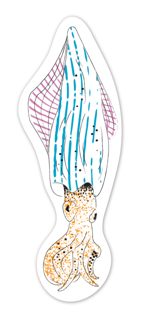 Set pictura cu apa - semne de carte Animale subacvatice, colectia Creatii Naturale [8]