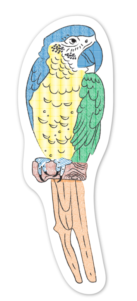 Set pictura cu apa - semne de carte Pasari, colectia Creatii Naturale [4]