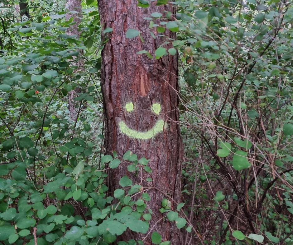 Spray Creta NEO, roz, 150 ml [9]