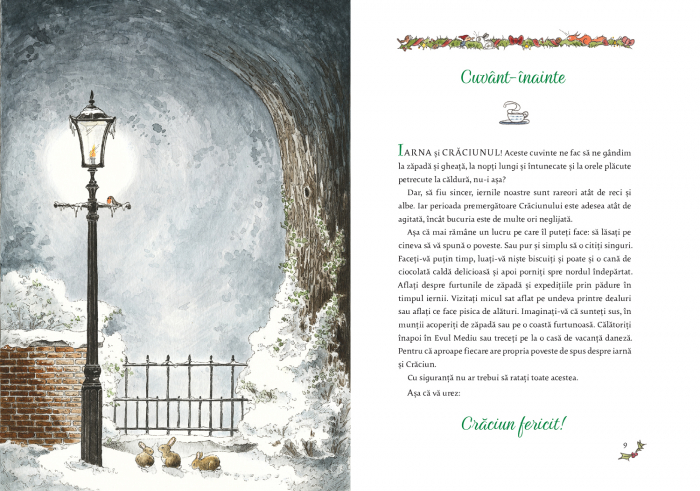 Vine Craciunul! 24 de povesti cu Tilda, Snofrid si alti prieteni [3]