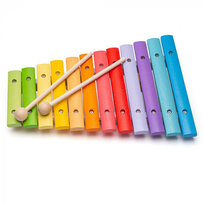 Xilofon din lemn, BIGJIGS Toys, 1-2 ani + [2]