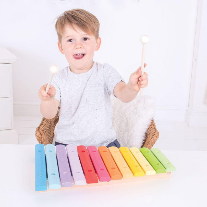 Xilofon din lemn, BIGJIGS Toys, 1-2 ani + [7]
