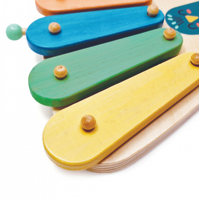 Xilofon paun, Svoora, 3 ani+ [3]