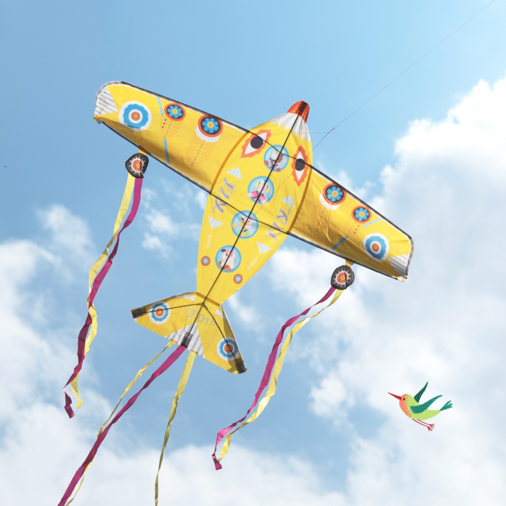 Zmeu Djeco Cel mai mare avion [5]