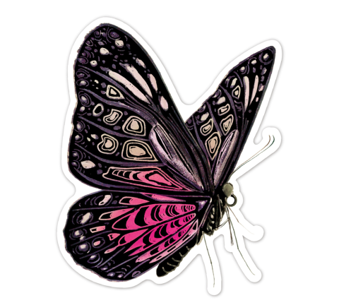 Abtibilduri razuibile - Fluturi, colectia Creatii Naturale [4]