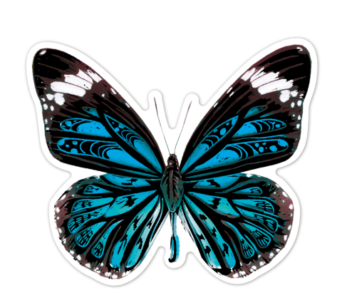 Abtibilduri razuibile - Fluturi, colectia Creatii Naturale [5]