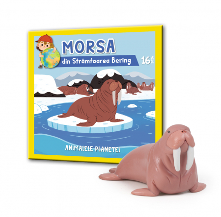 Animalele Planetei - Animalele Planetei Nr.16 - Morsa din Stramtoarea Bering, RBA, 18 luni+