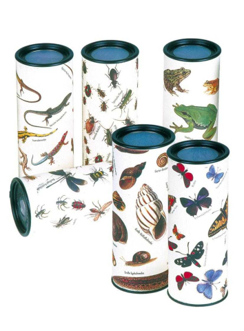 Vârsta - Caleidoscop Natura Fridolin, 2-3 ani +