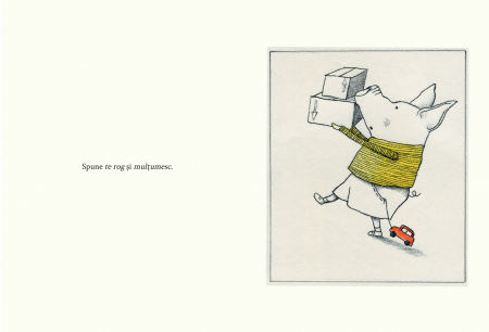 Carticica bunatatii, DPH, 3 ani + [2]