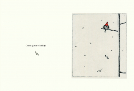 Carticica bunatatii, DPH, 3 ani + [3]