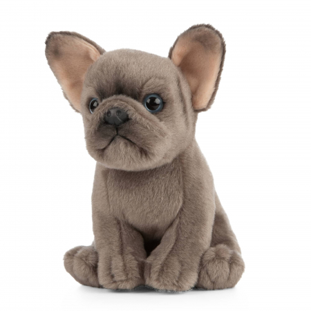 Catelus de plus Bulldog francez, 16 cm, Living Nature [1]