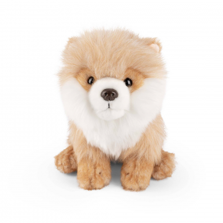 Jucarii bebelusi - Catelus de plus Pomeranian in sezut, 20 cm, Living Nature
