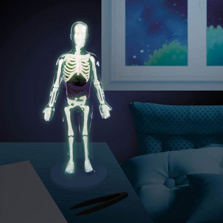 Corpul uman - 12 experimente NEW, BUKI France, 8-9 ani + [6]