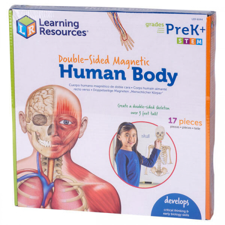 Jocuri si jucarii stiinta - Corpul uman - set magnetic, Learning Resources, 4-5 ani +