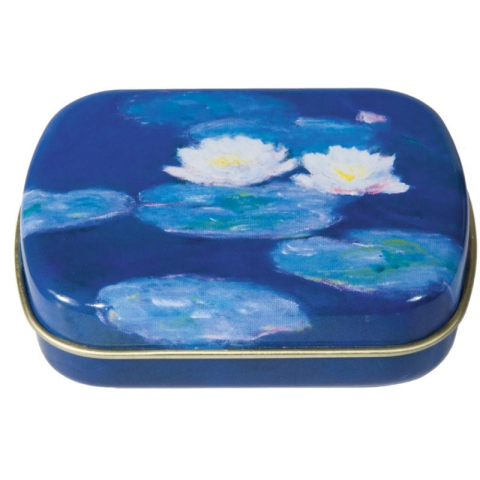 Jucarii copii 2-3 ani - Cutiuta metalica Nympheas Monet, Fridolin, 2-3 ani +