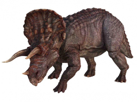 Diapozitive - Dinozauri, Natural History Museum, 2-3 ani + [4]