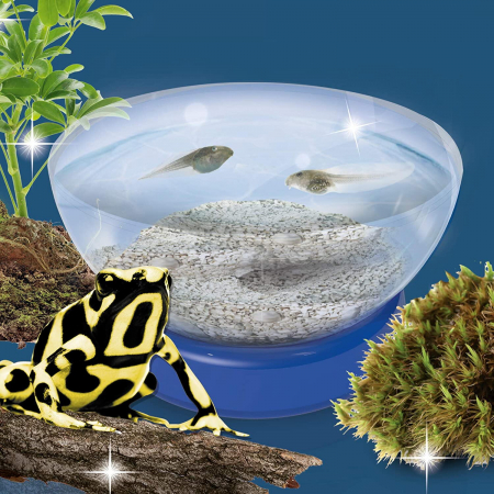 Experimentele micului geniu - Habitate si ecosisteme [2]