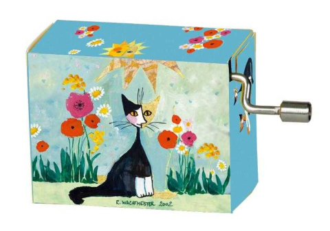 Vârsta - Flasneta Rosina Wachtmeister, melodie La multi ani, Fridolin, 6-7 ani +