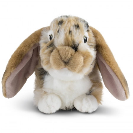 Plusuri bebelusi - Iepure Olandez cu urechi lungi Maro 30 cm, Jucarie de plus Living Nature