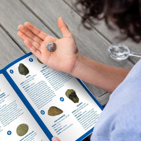Joc educativ GeoSafari, Kit excavare fosile, Educational Insights, 6-7 ani + [10]