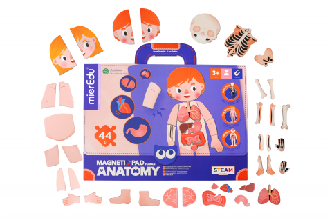 Joc magnetic educativ - Anatomia Umana [2]