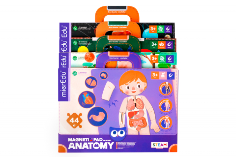Joc magnetic educativ - Anatomia Umana [3]