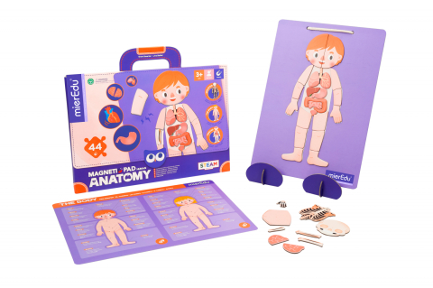 Joc magnetic educativ - Anatomia Umana [1]