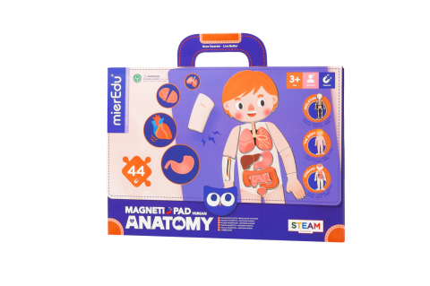 Jocuri cu magneti - Joc magnetic educativ - Anatomia Umana