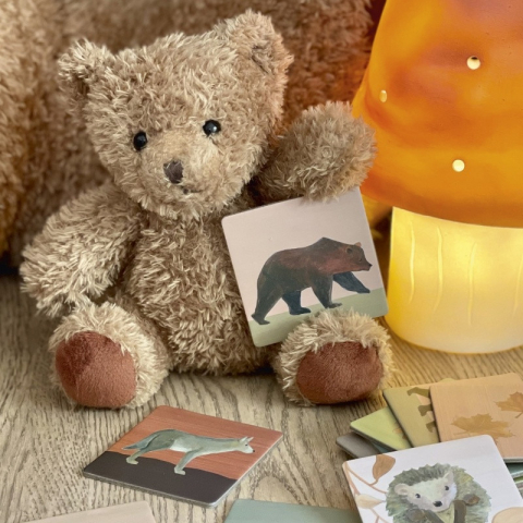 Joc memo Padure, Egmont toys, 2-3 ani + [1]