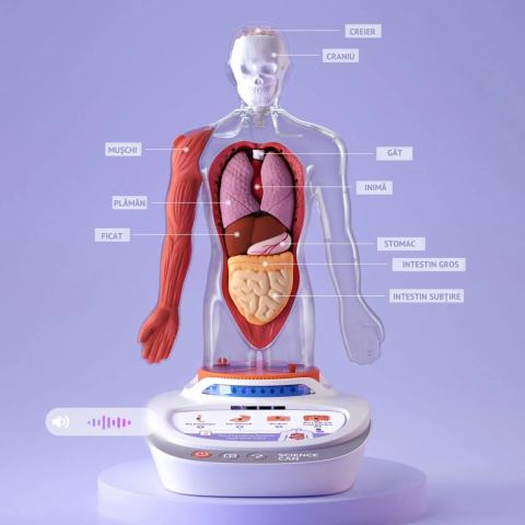 Joc STEM Anatomia umana, TopBright [3]