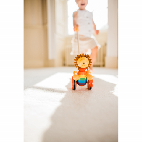 Jucarie de impins leu, Orange Tree Toys, 12 luni+ [3]