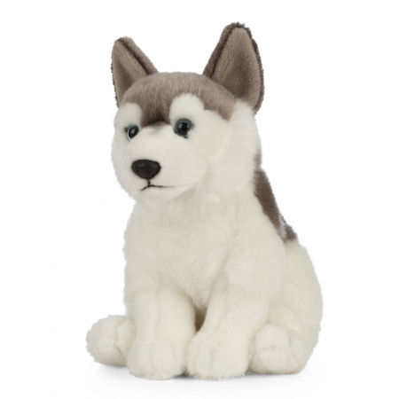 Jucarie de plus catel Husky, 20 cm, Living Nature [2]