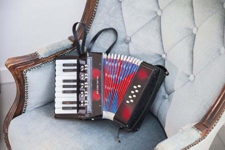 Jucarie muzicala Acordeon mare, negru, New Classic Toys, 2-3 ani + [3]