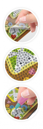 Jurnalul Secret, BUKI France, 6-7 ani + [11]