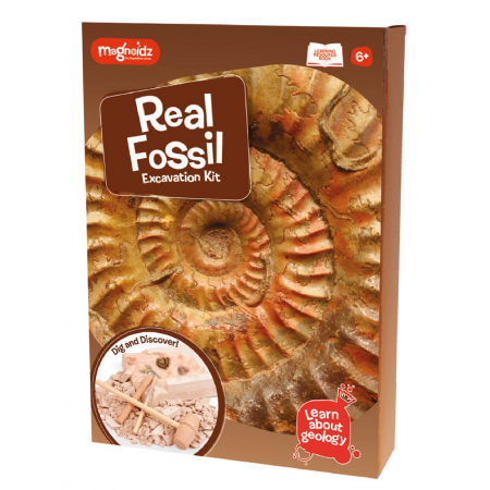 Jocuri experimente stiintifice - Kit paleontologie - Descopera fosile, Magnoidz, +6 ani