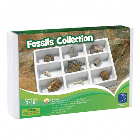 Kit paleontologie - Fosile, Educational Insights, 8-9 ani + [1]