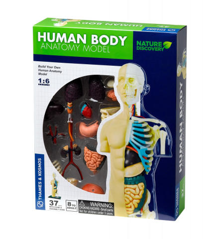 Jucarii copii 8-9 ani - Kit STEM Anatomia corpului uman