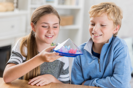 Kit stiintific - Gradina cu Cristale, STEAM Kids [1]