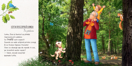 Lotta descopera lumea: In padure, DPH, 1-3 ani [3]