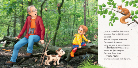 Lotta descopera lumea: In padure, DPH, 1-3 ani [5]