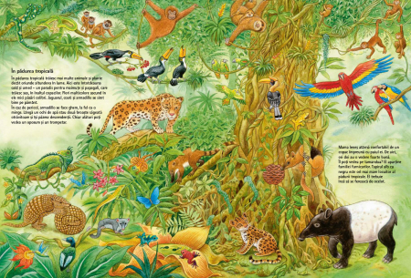 Lumea fascinanta a animalelor [3]