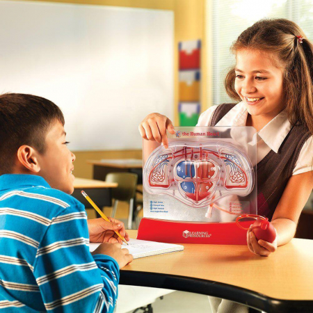 Macheta inima - Pomparea sangelui, Learning Resources, 8-9 ani + [2]